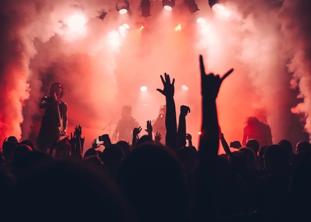 Bands & Solo Artists